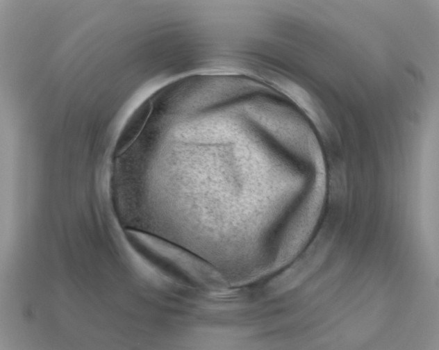 X0000113571484200910161507