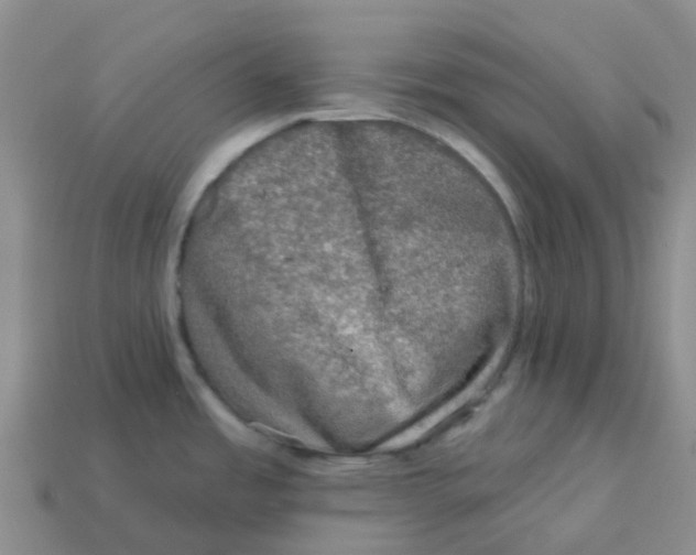 X0000113571485200910161507