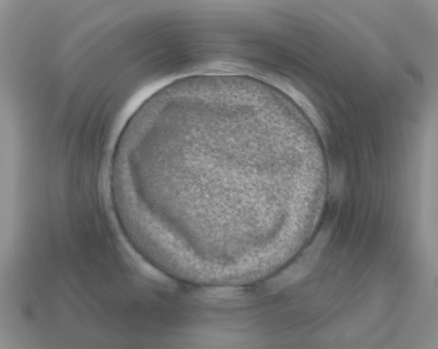 X0000113571486200910161507