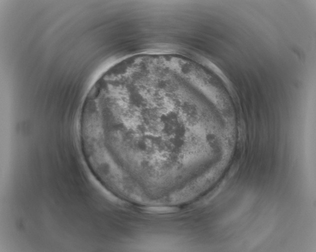 X0000113571487200910161507