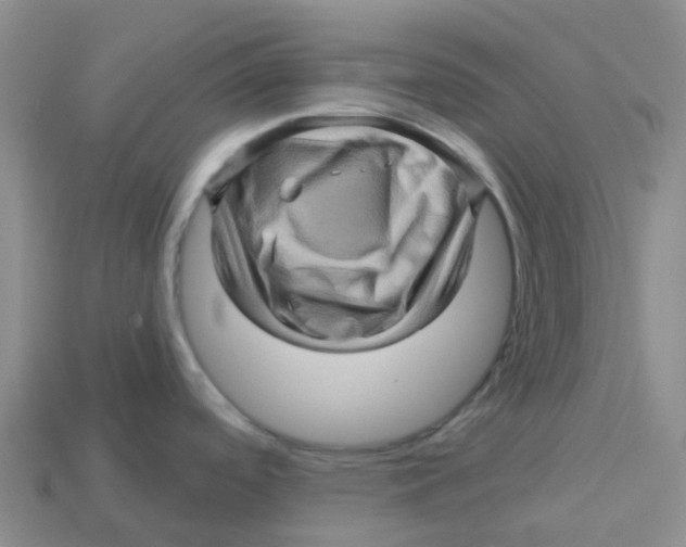 X0000113571488200910161507