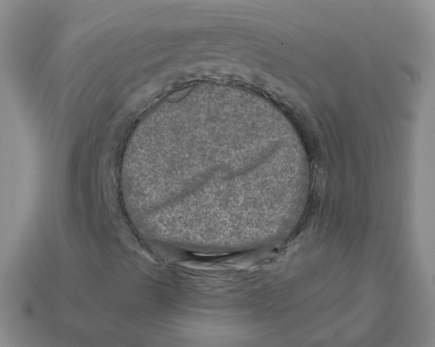 X0000113571489200910161506