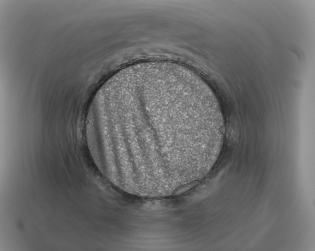 X0000113571490200910161506