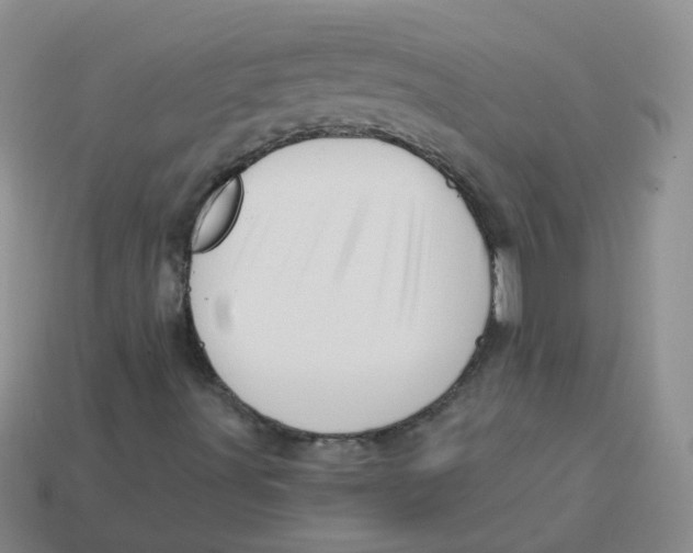 X0000113571491200910161506