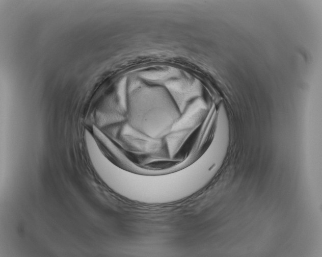 X0000113571492200910161506