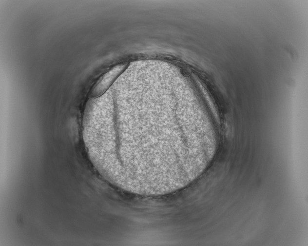 X0000113571493200910161506