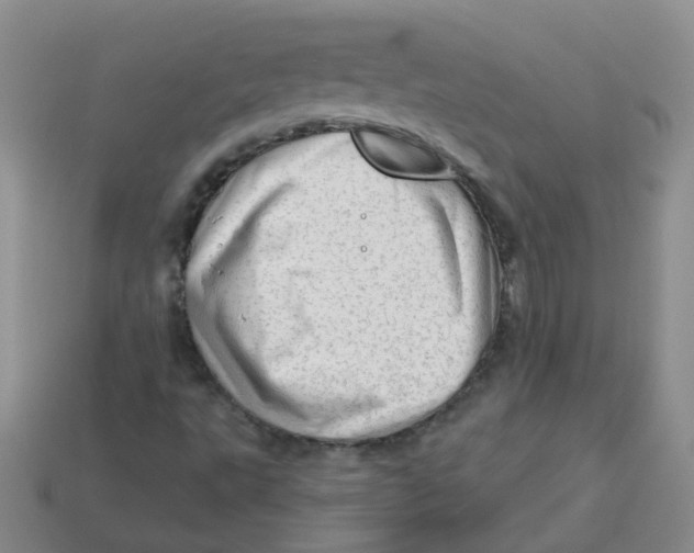 X0000113571495200910161506