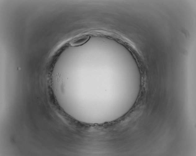 X0000113571496200910161507