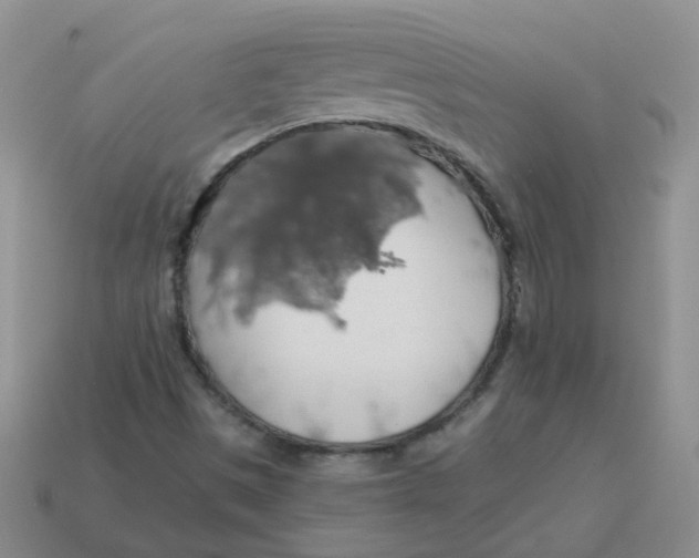 X0000113571497200910161507