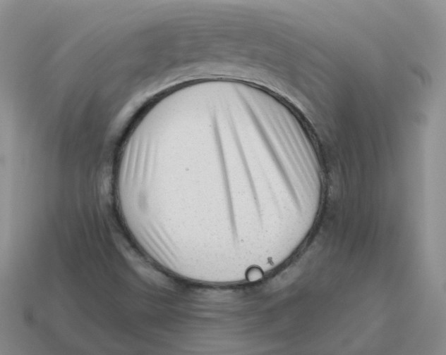 X0000113571499200910161507