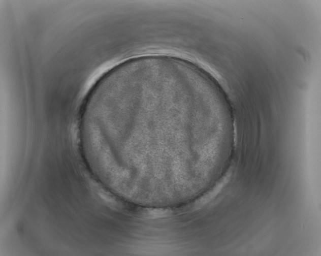 X0000113571501200910161507