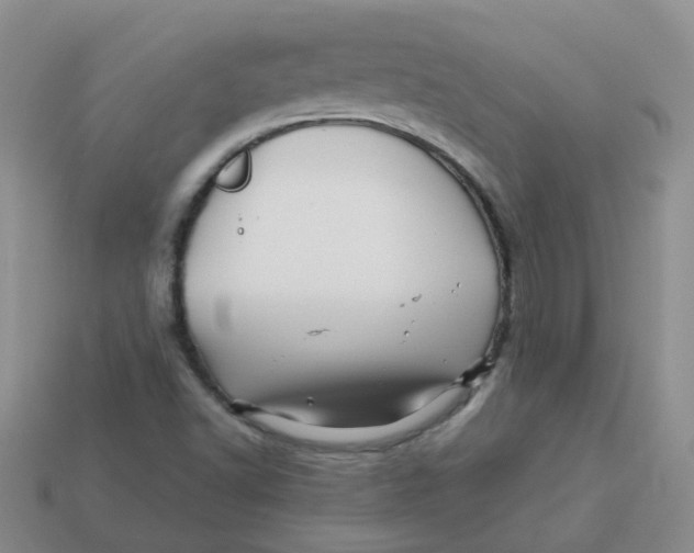 X0000113571502200910161507