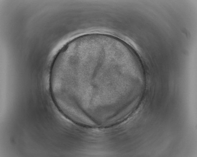 X0000113571504200910161507