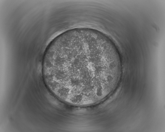 X0000113571505200910161507