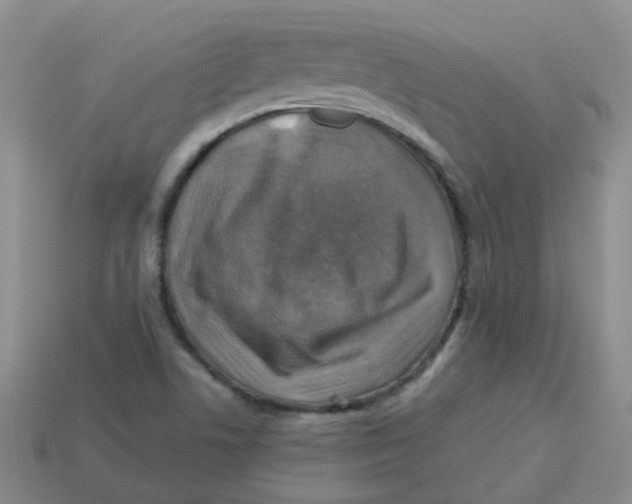 X0000113571506200910161507