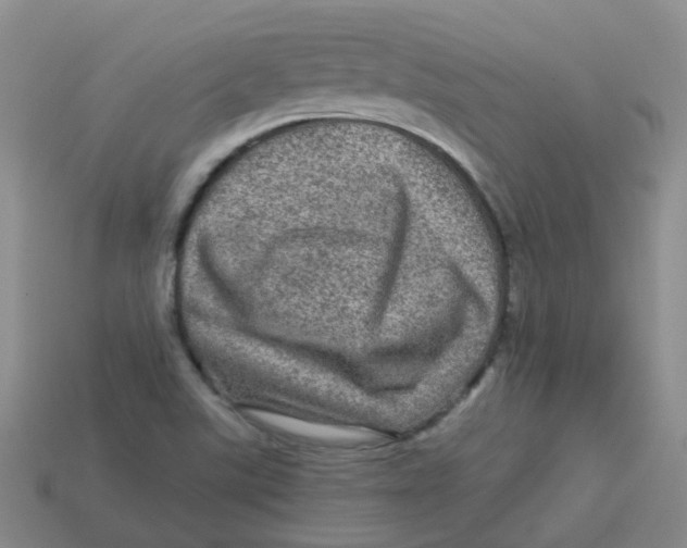 X0000113571507200910161507