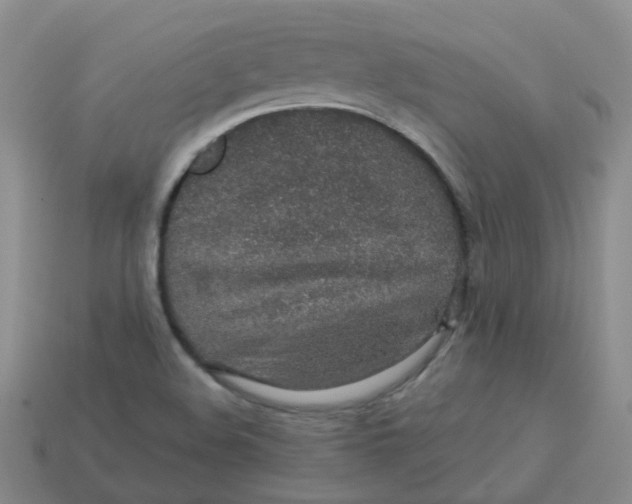 X0000113571508200910161507