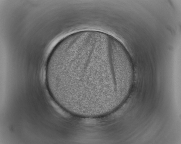 X0000113571511200910161507