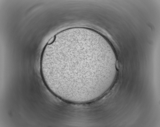 X0000113571512200910161507