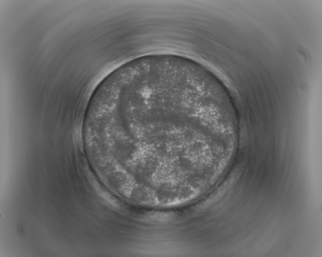 X0000113571513200910161507