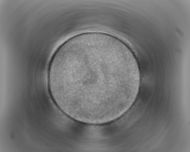 X0000113571514200910161507