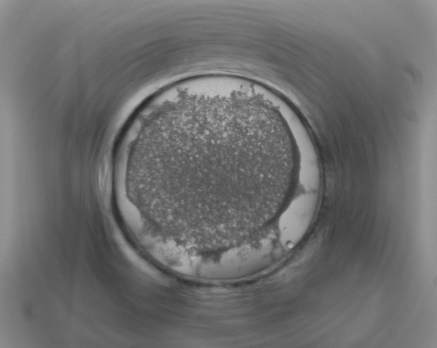 X0000113571515200910161507