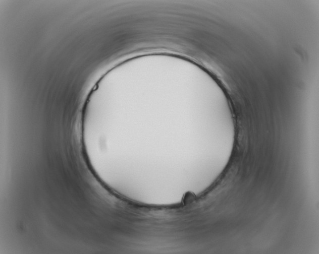 X0000113571516200910161507