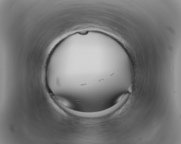 X0000113571518200910161507