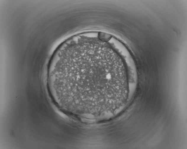 X0000113571519200910161507