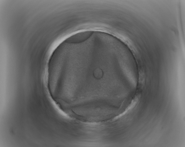 X0000113571520200910161507