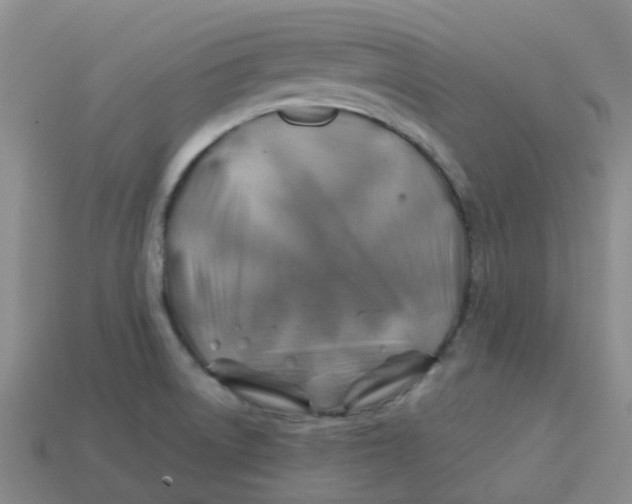 X0000113571522200910161507