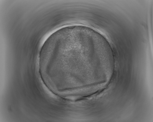 X0000113571524200910161507