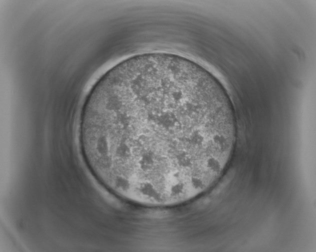 X0000113571525200910161507