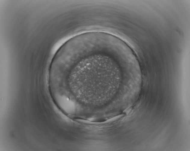 X0000113571527200910161507