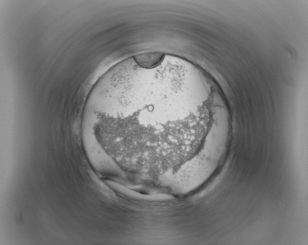 X0000113571529200910161507