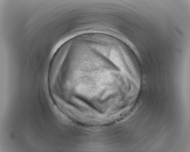 X0000113571530200910161507