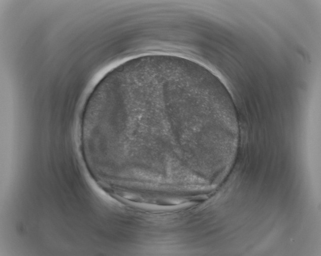 X0000113571531200910161507