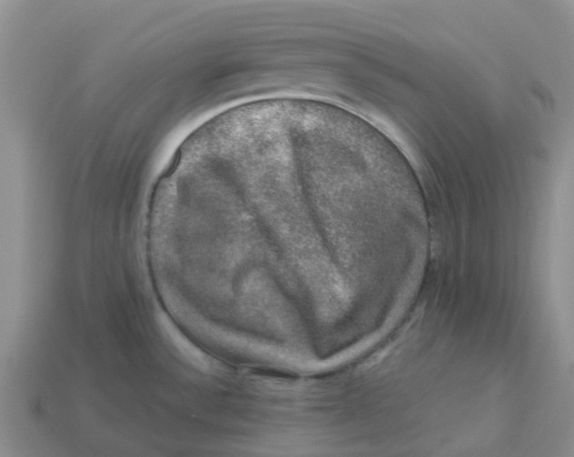 X0000113571532200910161507