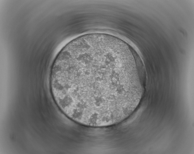 X0000113571533200910161507