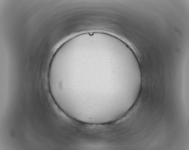 X0000113571534200910161507