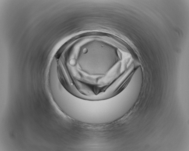 X0000113571536200910161507