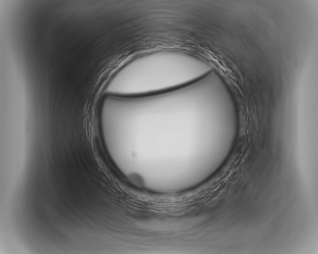 X0000113580002200909181029