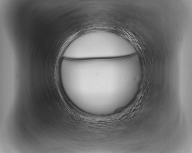 X0000113580003200909181029