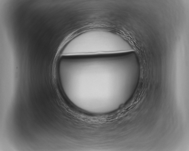 X0000113580004200909181029