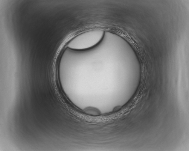 X0000113580006200909181029