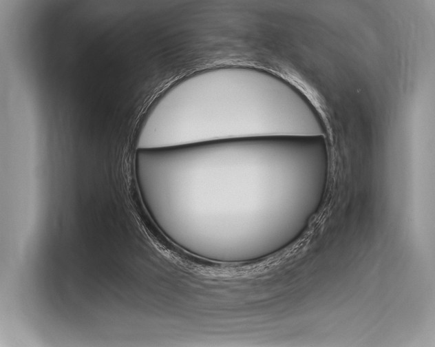 X0000113580009200909181029