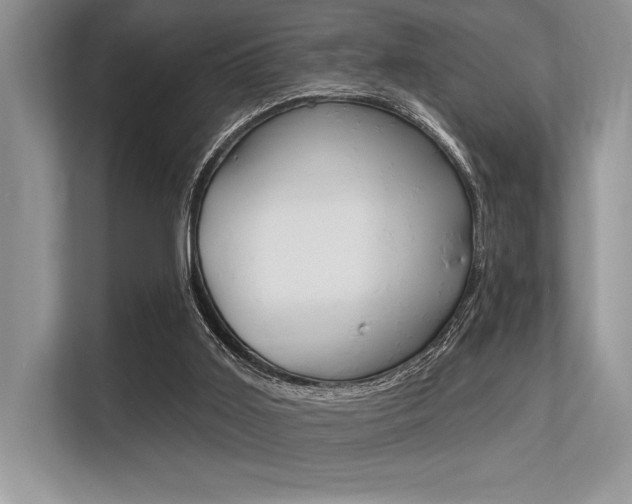 X0000113580011200909181029