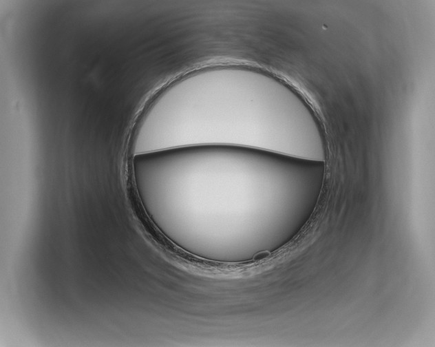 X0000113580015200909181029