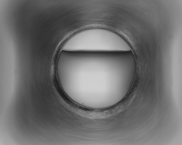 X0000113580016200909181029