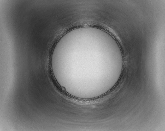 X0000113580018200909181029